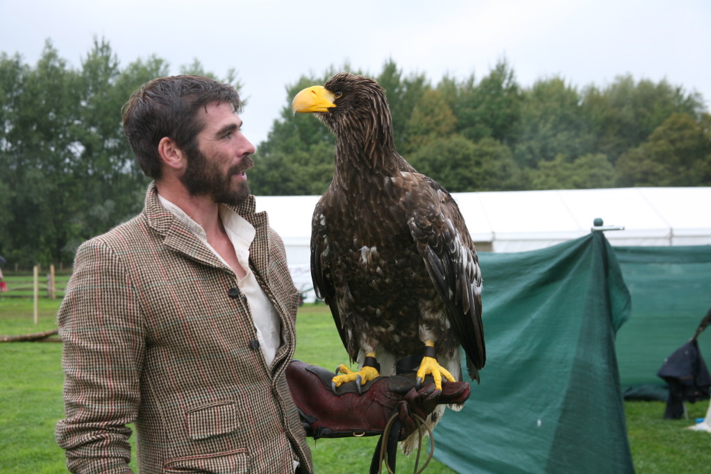 Bird of prey at Beamish Agricultural Show